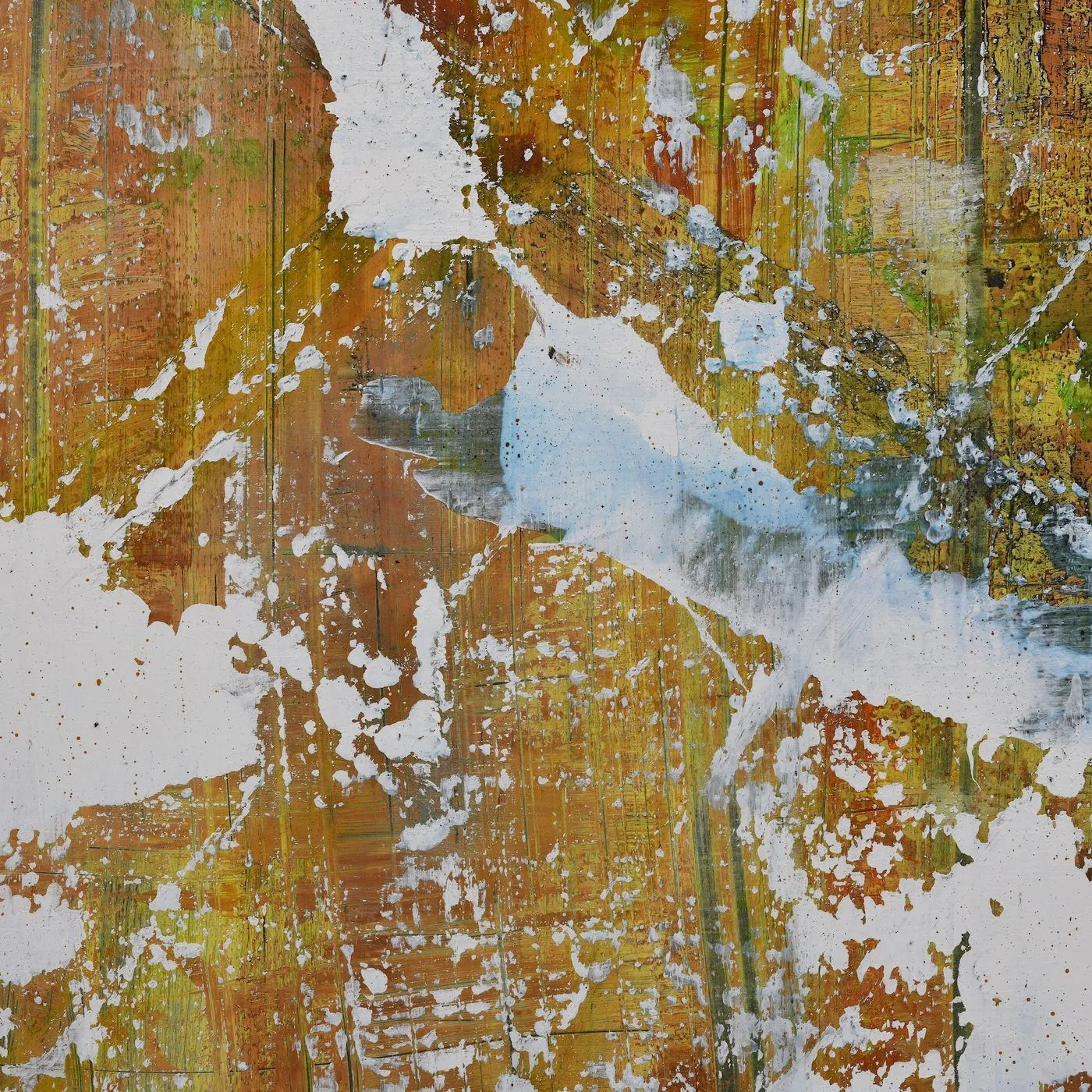 Sounds from Indian Nature — détail